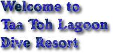 Welcome to Taa Toh Lagoon Dive Resort, the place for all your diving needs